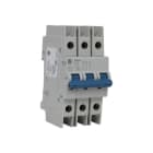 ALLEN BRADLEY - UL489 16 A MINIATURE CIRCUIT BREAKER