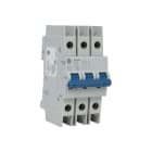 ALLEN BRADLEY - UL489 50 A MINIATURE CIRCUIT BREAKER