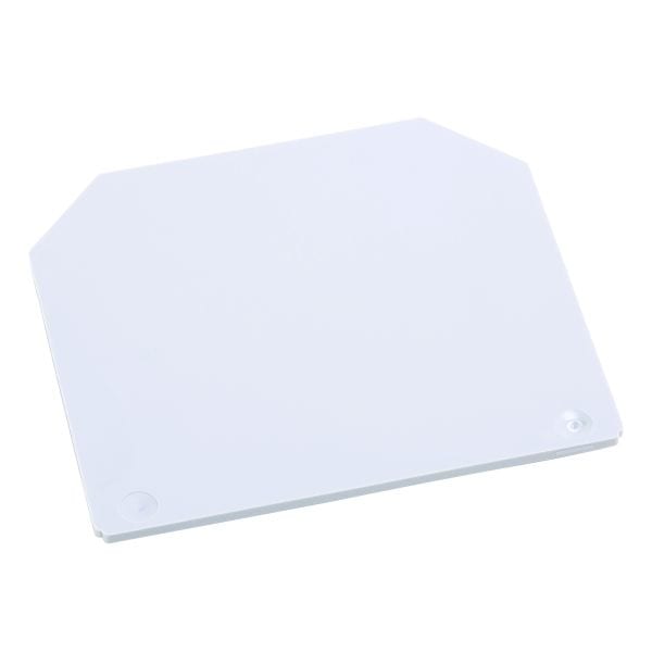 ALLEN BRADLEY - IEC END BARRIER, 1.5 X 49 X 60MM