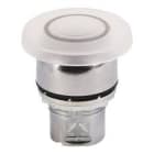 ALLEN BRADLEY - 22MM MOMENTARY PUSH BUTTON 800F PB
