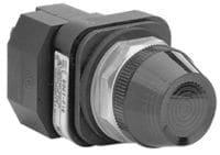ALLEN BRADLEY - 30MM PILOT LIGHT 800T PB