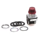 ALLEN BRADLEY - 30MM PILOT LIGHT 800T PB