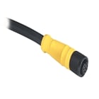 ALLEN BRADLEY - 889 DC MICRO CABLE