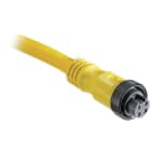 ALLEN BRADLEY - 889 MINI CABLE