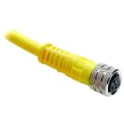 ALLEN BRADLEY - 889 PICO CABLE