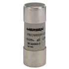 MERSEN - Sicherung zylindrisch gG Gr.22x58 500VAC/250VDC 125A ohne Kennmelder