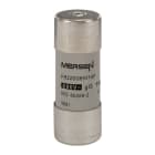 MERSEN - Sicherung zylindrisch gG Gr.22x58 690VAC/250VDC 16A mit Schlagbolzen