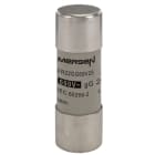 MERSEN - Sicherung zylindrisch gG Gr.22x58 690VAC/250VDC 25A ohne Kennmelder