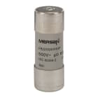 MERSEN - Sicherung zylindrisch gG Gr.22x58 500VAC/250VDC 63A mit Schlagbolzen