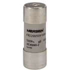 MERSEN - Sicherung zylindrisch gG Gr.22x58 500VAC/250VDC 100A mit Schlagbolzen