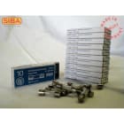 SIBA - G-Sicherung traege 5x20mm 250V 4A