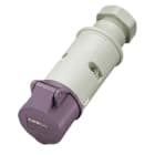MENNEKES - CEE-Kupplung 16A 3p 20-25V IP44 50-60Hz