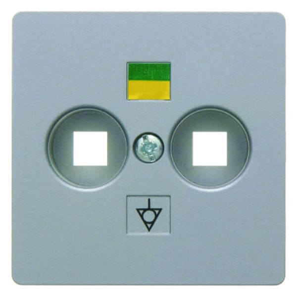 BERKER - B.x/K.x Zentralplatte für Doppel- Potenzialausgleich-Steckdose, alu matt
