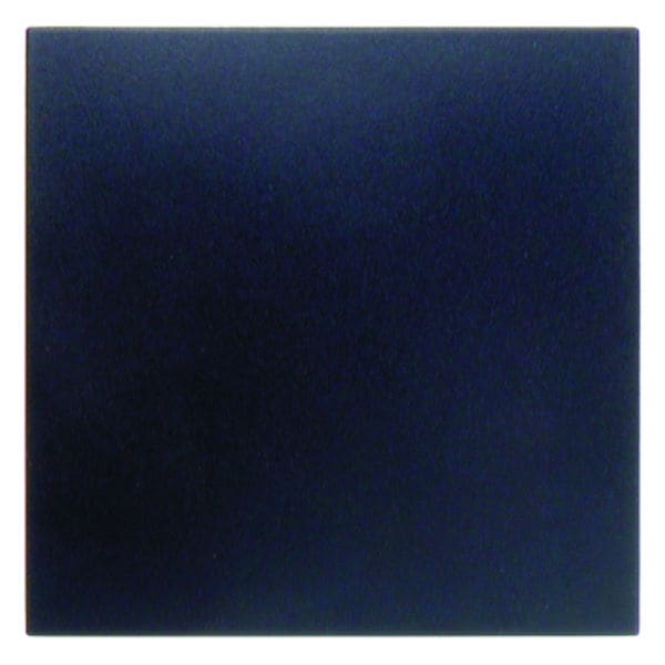 BERKER - S.1/B.x Blindverschluss anthrazit matt