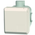 MENNEKES - Up Cee-Wandsteckdose Cepex 32A 5P 400V 6H IP44 Perlweiß