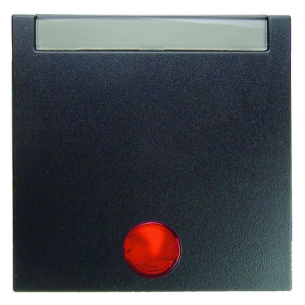 BERKER - S.1/B.x Wippe mit Linse und Schriftleiste anthrazit matt