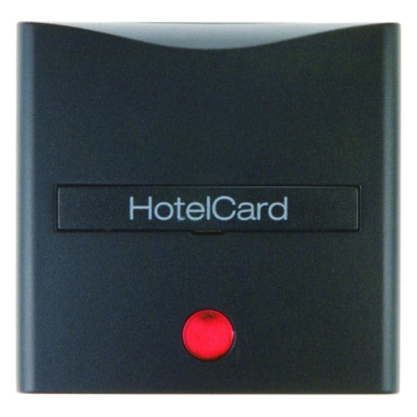 BERKER - S.1/B.x Hotelcard-Schalter- Aufsatz mit Linse anthrazit matt