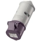 MENNEKES - CEE-Kupplung 16A 2p 20-25V IP44 50-60Hz