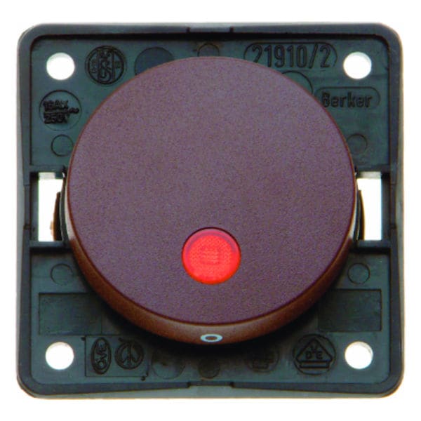 BERKER - Integro Flow/Pure 2Poliger Kontrollschalter, Braun Matt