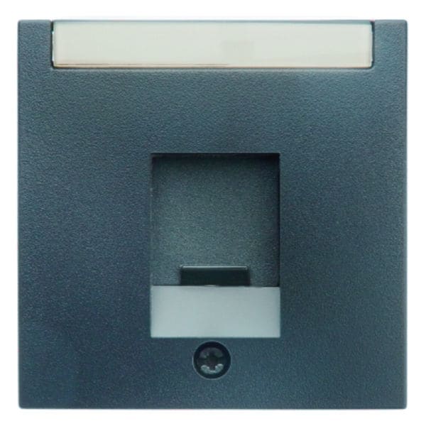 BERKER - S.1/B.x Zentralstück mit Staubschutzschieber, anthrazit matt
