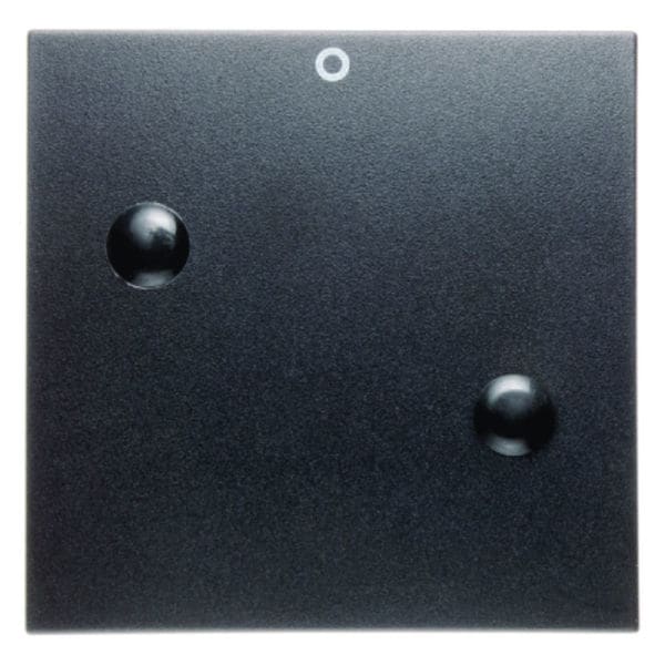 BERKER - S.1/B.x Wippe anschraubbar mit Aufdruck 0, anthrazit matt