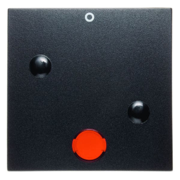 BERKER - S.1/B.x Wippe anschraubbar mit Linse mit Aufdruck 0, anthrazit matt