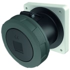 MENNEKES - Cee-Anbausteckdose 125A 5P 500V 7H IP67