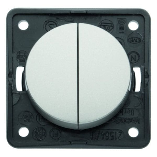 BERKER - INTEGRO Flow/Pure Doppeltaster Edelstahl lackiert