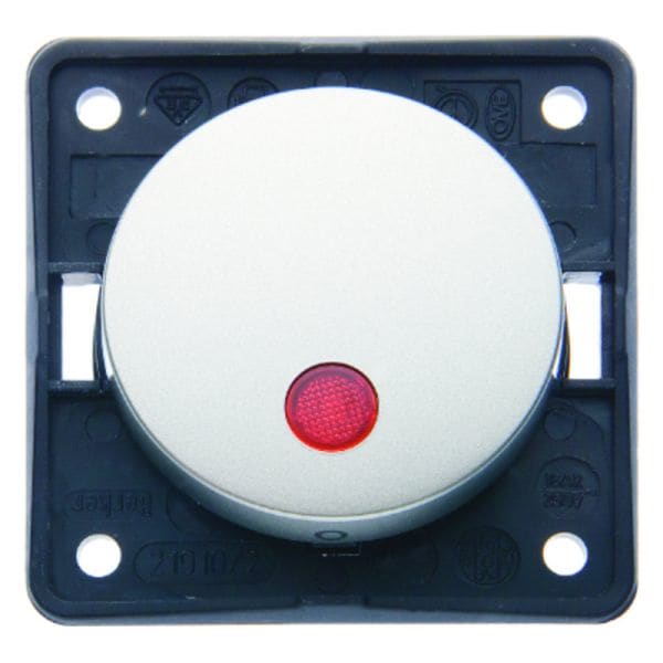 BERKER - INTEGRO Flow/Pure 2poliger Kontrollschalter, Edelstahl lackiert