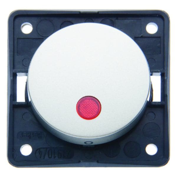 BERKER - INTEGRO Flow/Pure 2poliger Kontrollschalter 12V, edelstahl lackiert