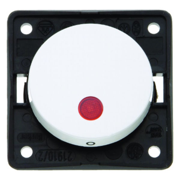 BERKER - INTEGRO Flow/Pure 2poliger Kontrollschalter 12V, polarweiß glänzend