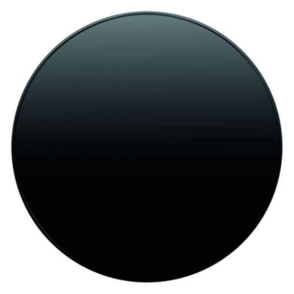 BERKER - R.x Zentralstück für Drehdimmer schwarz glänzend