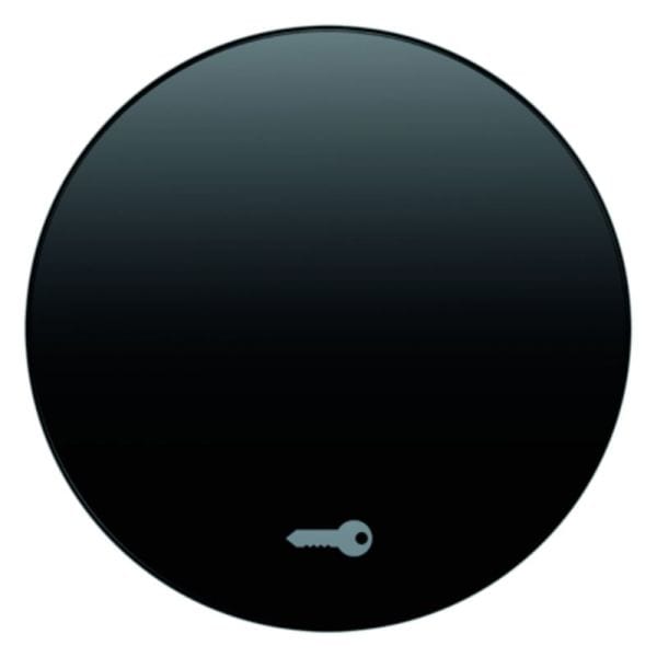 BERKER - R.x Wippe mit Aufdruck Symbol Schlüssel schwarz glänzend