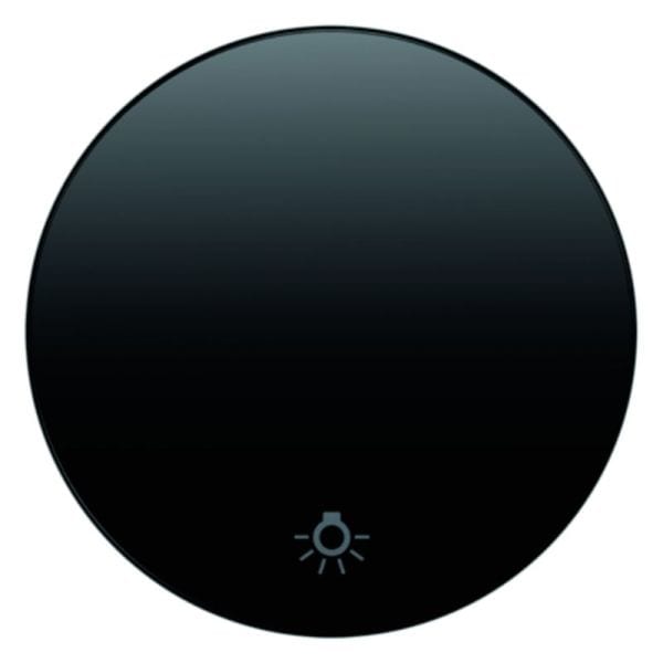 BERKER - R.x Wippe mit Aufdruck Symbol Licht schwarz glänzend