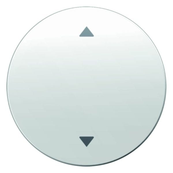 BERKER - R.x Wippe mit Aufdruck Symbol Pfeile polarweiß glänzend