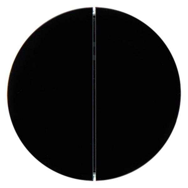 BERKER - KNX-RF R.x Taste 2fach schwarz glänzend