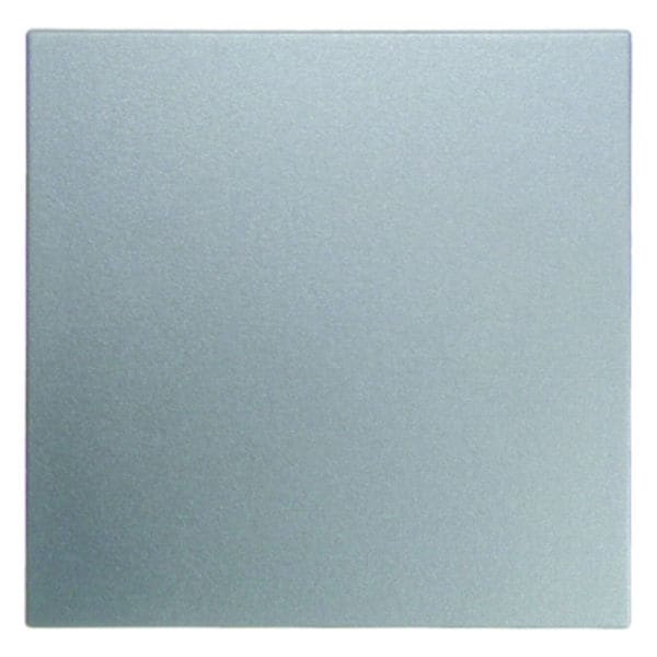 BERKER - S.1/B.x .net Taste 1fach alu matt