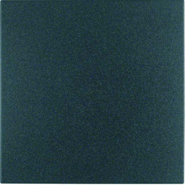 BERKER - KNX-Funk S.1/B.x Taste 1fach anthrazit matt
