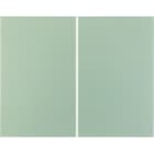 BERKER - KNX-RF K.5 Taste 2fach Edelstahl lackiert