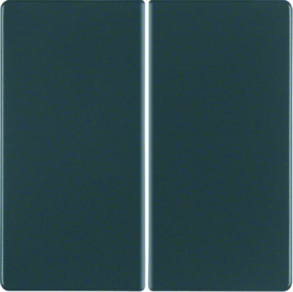 BERKER - KNX-RF Q.x Taste 4fach anthrazit samt