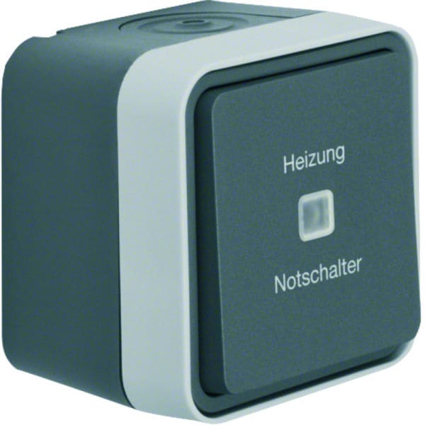 BERKER - W.1 Kontroll-Heizung Notschalter grau/lichtgrau matt