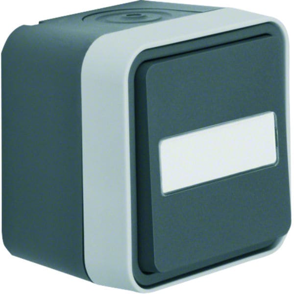 BERKER - W.1 IP55 Taster mit mittigem Beschriftungsfeld grau/lichtgrau matt