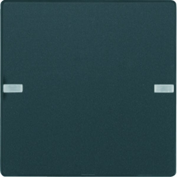 BERKER - KNX Q.x Tastsensor 1fach Komfort anthrazit/schwarz samt