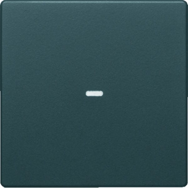 BERKER - KNX Q.x Abdeckung 1fach mit klarer Linse anthrazit samt