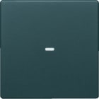 BERKER - KNX Q.x Abdeckung 1fach mit klarer Linse anthrazit samt