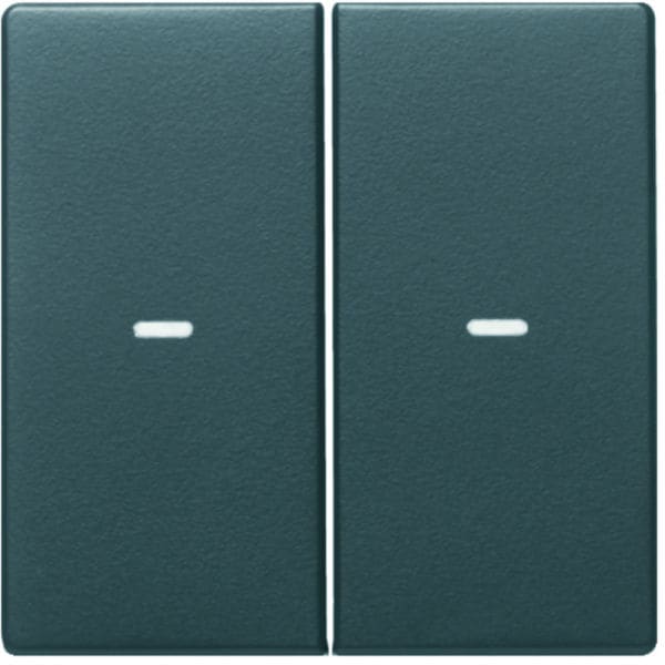 BERKER - KNX Q.x Abdeckung 2fach mit klarer Linse anthrazit samt