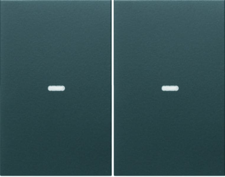 BERKER - KNX K.1 Abdeckung 2fach mit klarer Linse, anthrazit matt