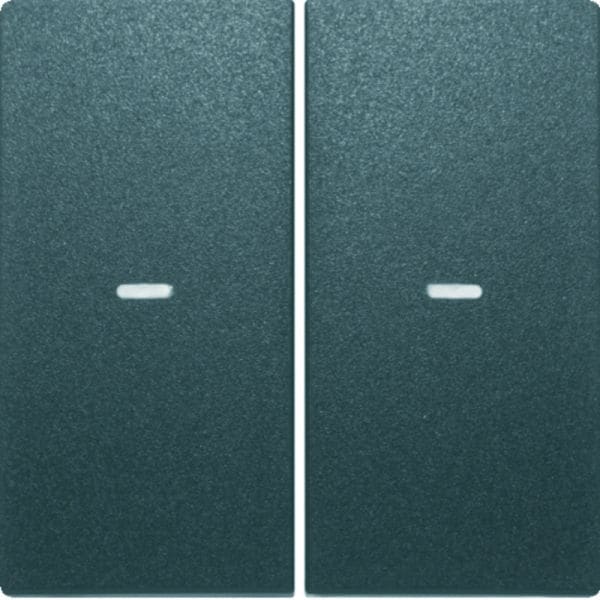 BERKER - KNX S.1/B.x Abdeckung 2fach mit klarer Linse anthrazit matt