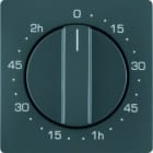 BERKER - Q.x Zentralstück für 120 Min. Zeitschaltuhr anthrazit samt