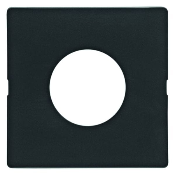BERKER - Q.x Zentralstück für Taster und Lichtsignal E10 anthrazit samt